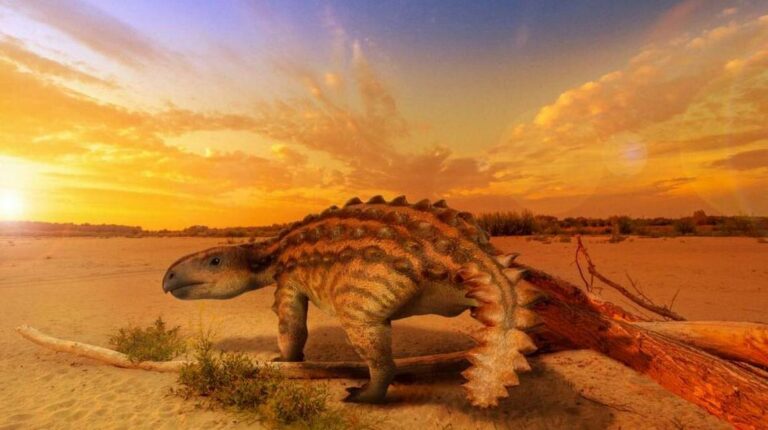 Descubren nueva especie de dinosaurio acorazado que vivió en Chile