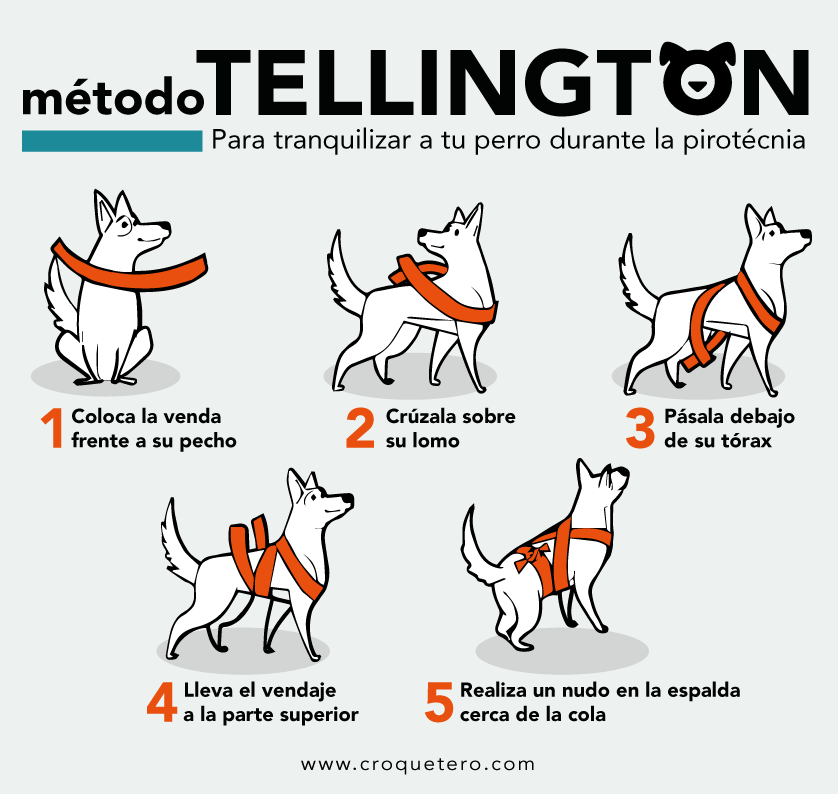Tellington metodo mascotas ansiedad
