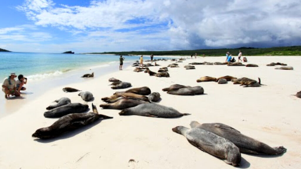 Ecuador oficializará su nueva reserva marina de Galápagos