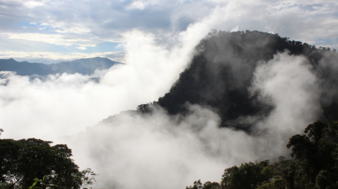 Vista panorámica del Corredor del Oso, en el Chocó Andino, al occidente de Quito, en diciembre de 2021.