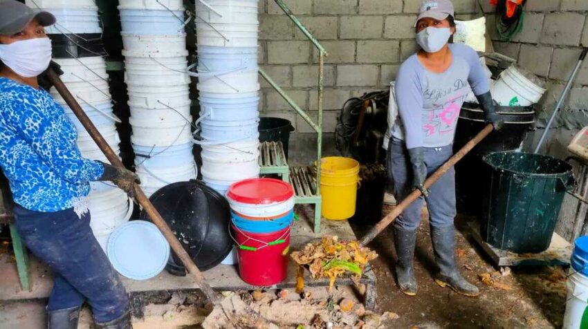 Trabajadores de BioCompost recogiendo los desechos orgánicos para procesarlos.