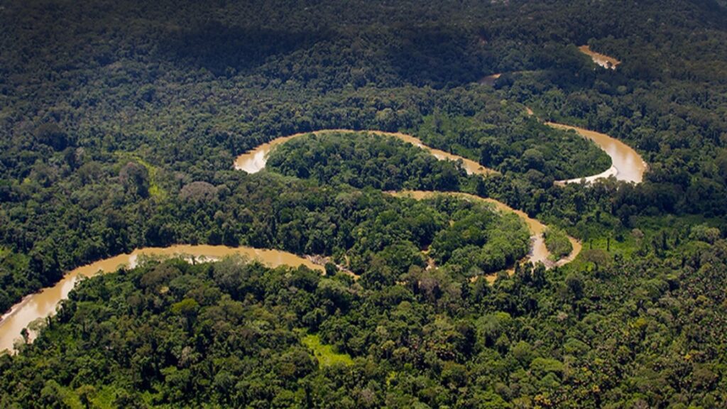 El 75% de la Amazonía ha perdido su capacidad de resiliencia