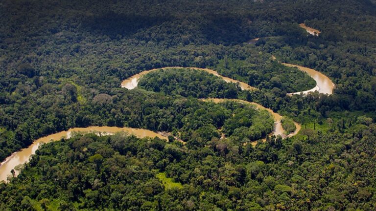 Imagen referencial de la Amazonía ecuatoriana.