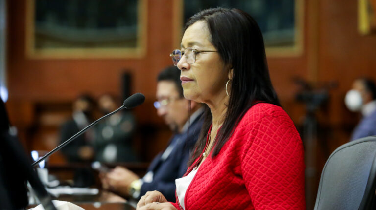 Guadalupe Llori durante la sesión del pleno de la Asamblea Nacional 771, del 5 de abril de 2022.