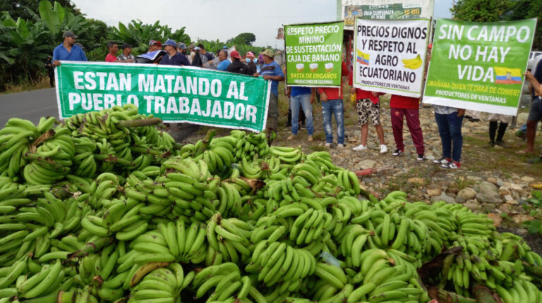 Productores bananeros de Los Ríos, El Oro y Guayas continúan con el cierre de vías con la fruta, para exigir precios justos y apoyo al sector. Imagen del 16 de marzo de 2022.