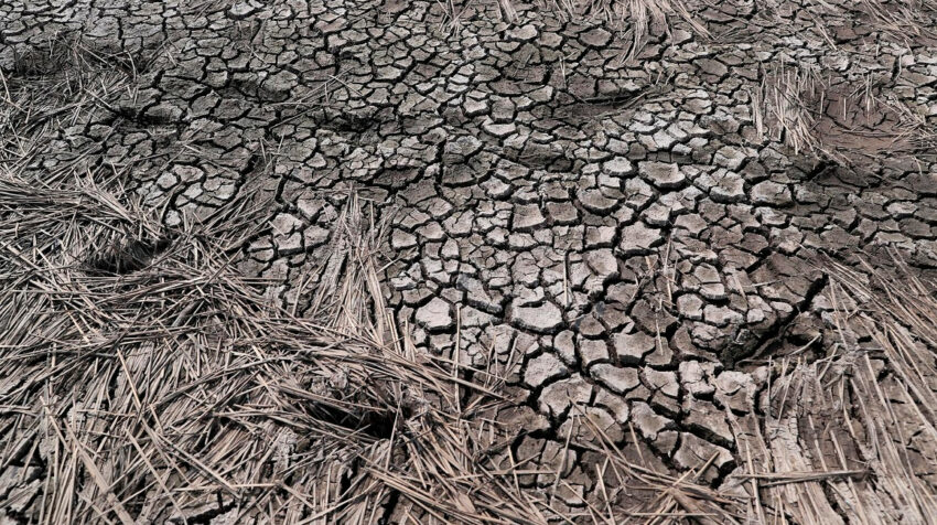Fotografía del suelo seco donde ha bajado el caudal de una represa en Honduras, el 15 de abril de 2022.