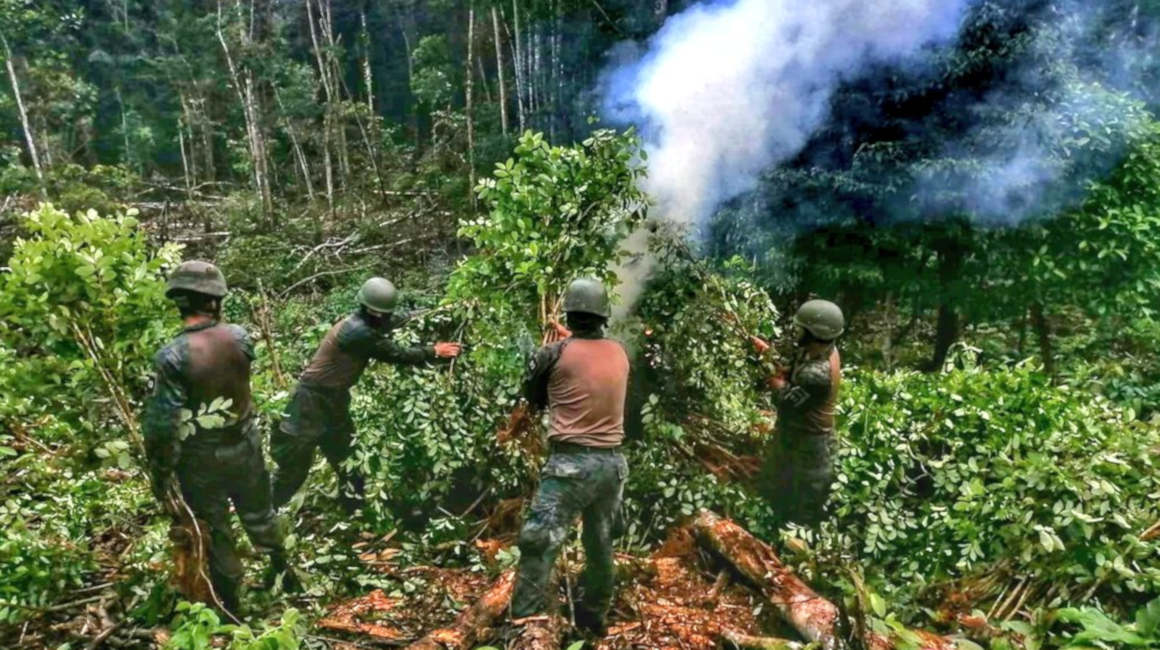 Fuerzas Armadas, en las riberas del río Putumayo, Sucumbíos (frontera norte), el 19 de abril de 2022. cultivos de coca