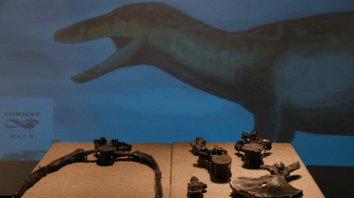 Científicos argentinos descubren el dinosaurio 'raptor' más grande del mundo