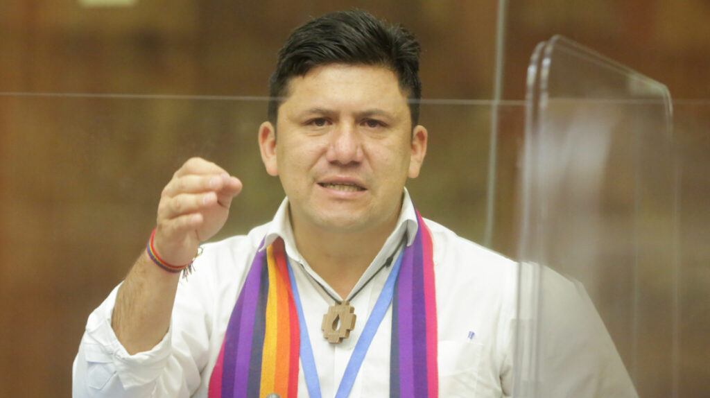 Pachakutik se equivocó en designar a Llori, según Mario Ruiz