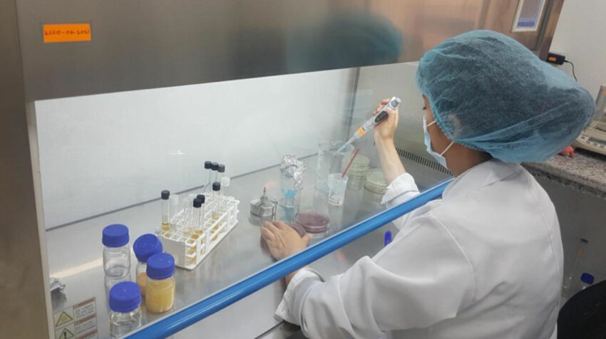 Análisis de control de calidad a los ovoproductos en el laboratorio de Ovomas, en mayo de 2022.