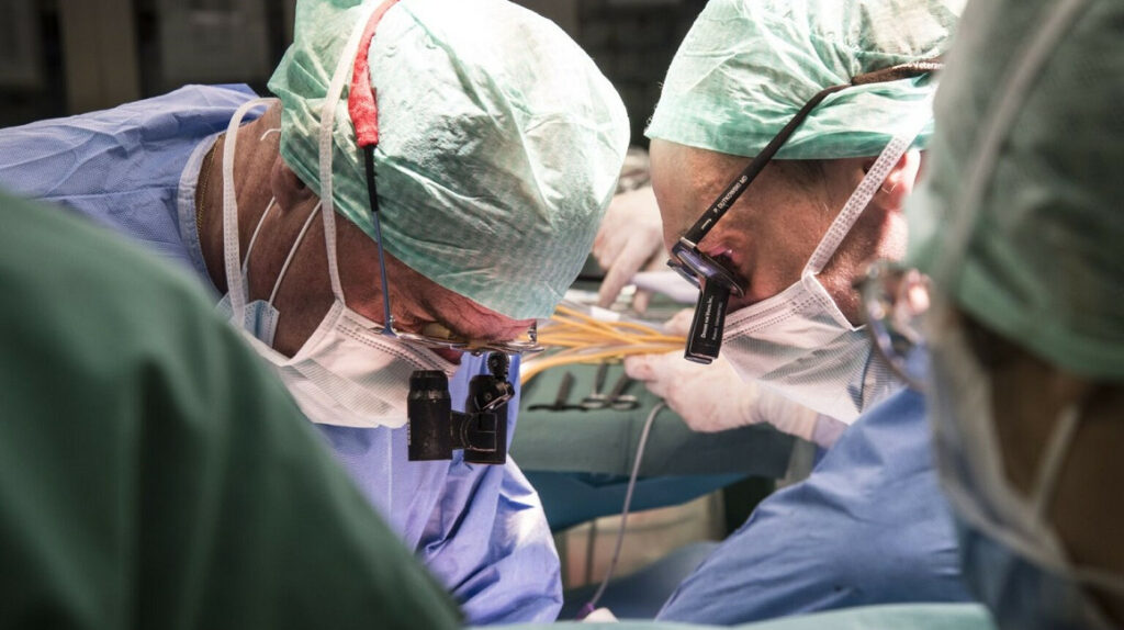 Científicos logran trasplantar un hígado luego de repararlo en una máquina