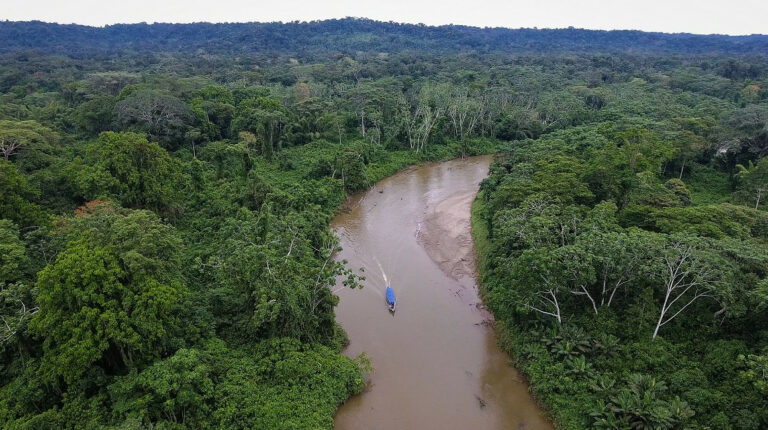 Amazonía ecuatoriana pierde 379.000 hectáreas de bosque en casi cuatro décadas
