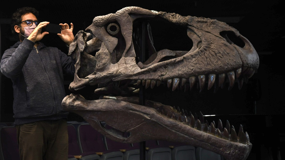 Reconstrucción del cráneo completo del nuevo dinosaurio Meraxes gigas, en la fundación Azara, Argentina, 7 de julio de 2022. 