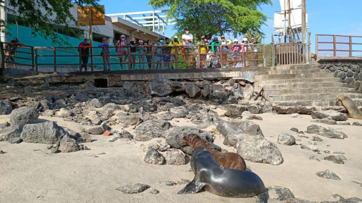 Un grupo de turistas observa lobos marinos en Galápagos, en abril de 2022.