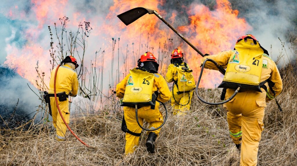 “Alto al Fuego” la campaña que promueve la prevención de incendios forestales en Guayaquil.