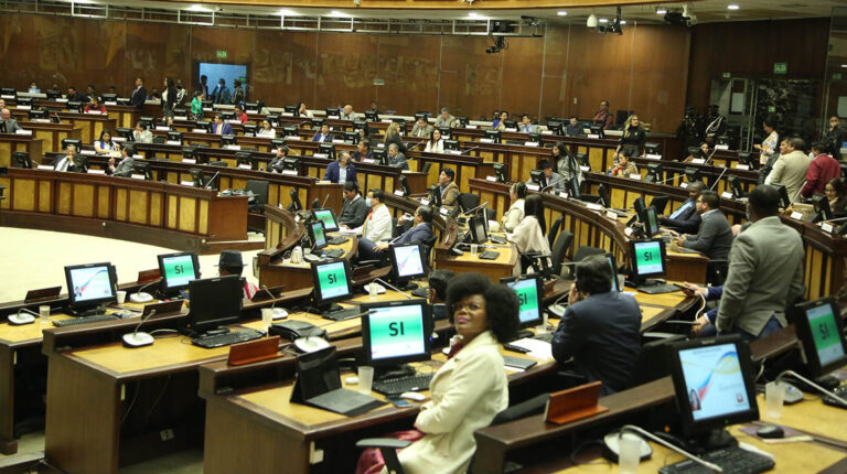 El Pleno de la Asamblea, durante la votación de la resolución sobre Cuba, este 30 de agosto de 2022.