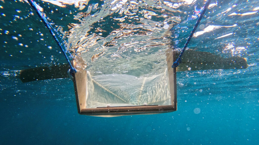 Estas son las tres variedades de microplásticos que ahogan los mares