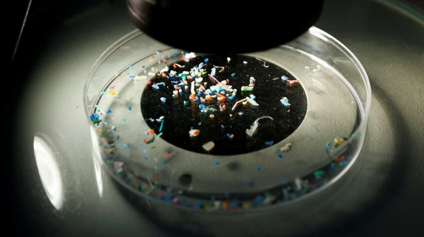 Diminutas partículas de plásticos, encontradas en cosméticos, vistas en un laboratorio de España, enero de 2022. 