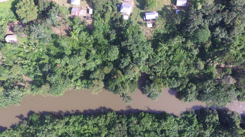 Cuatro delitos ambientales que están saqueando la Amazonía