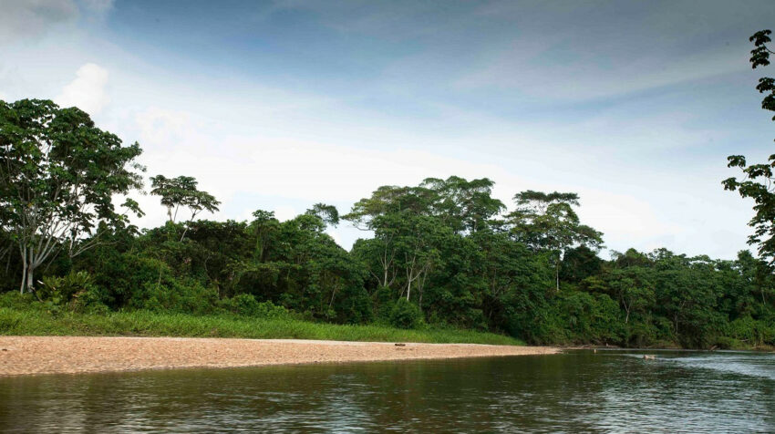 Panorámica de un río de la Amazonía ecuatoriana. 