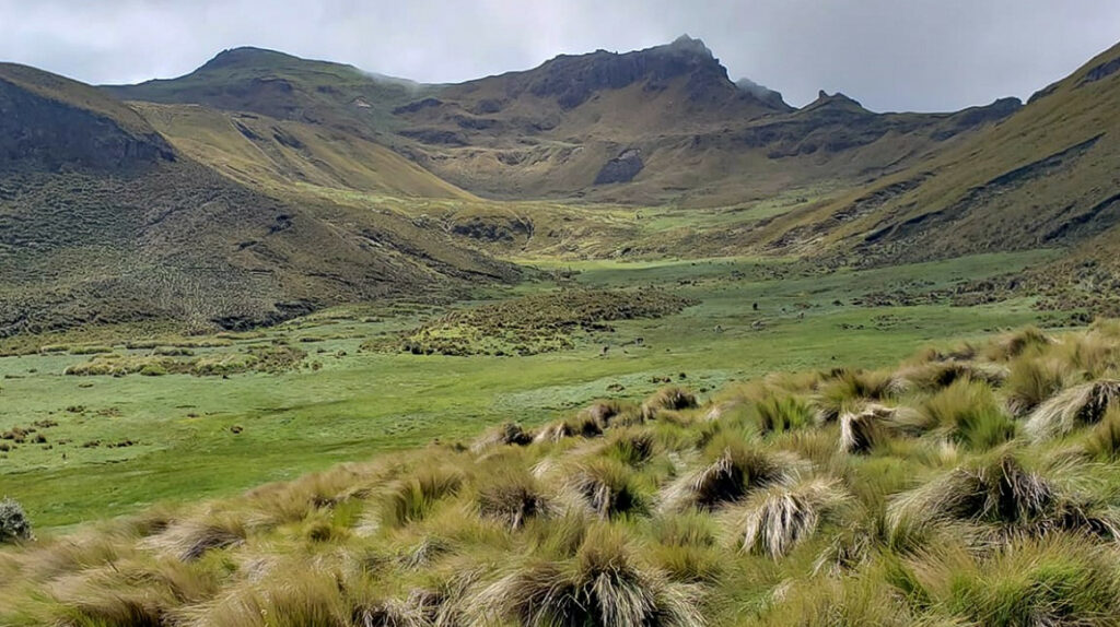 Ecuador tiene una nueva área de protección hídrica en el páramo