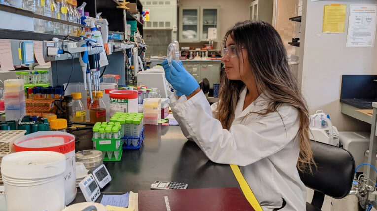 La ingeniera química Belén Sotomayor, durante un trabajo de investigación en la Universidad Cornell, Estados Unidos. 