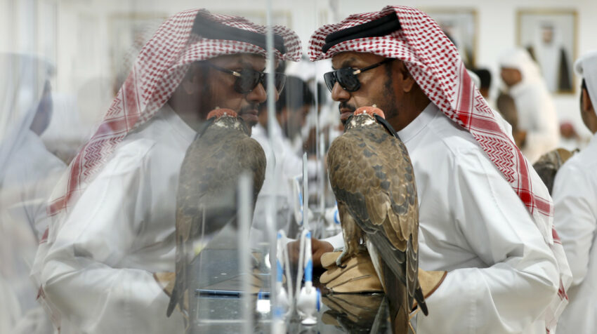 Una persona sostiene un halcón en el zoco de Doha, en Qatar.