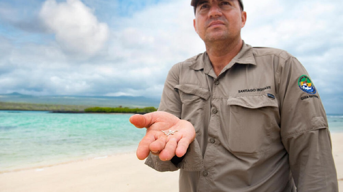 Un trabajador del Parque Nacional Galápagos muestra residuos de microplásticos encontrados en las islas.