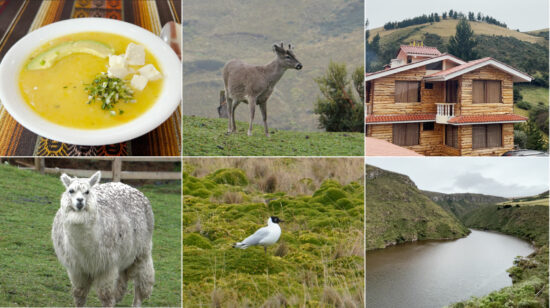 Destinos turísticos cerca de Quito Pintag y Antisana