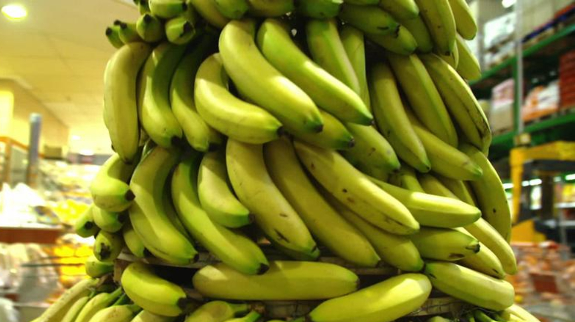 banano sistema Unibanano
