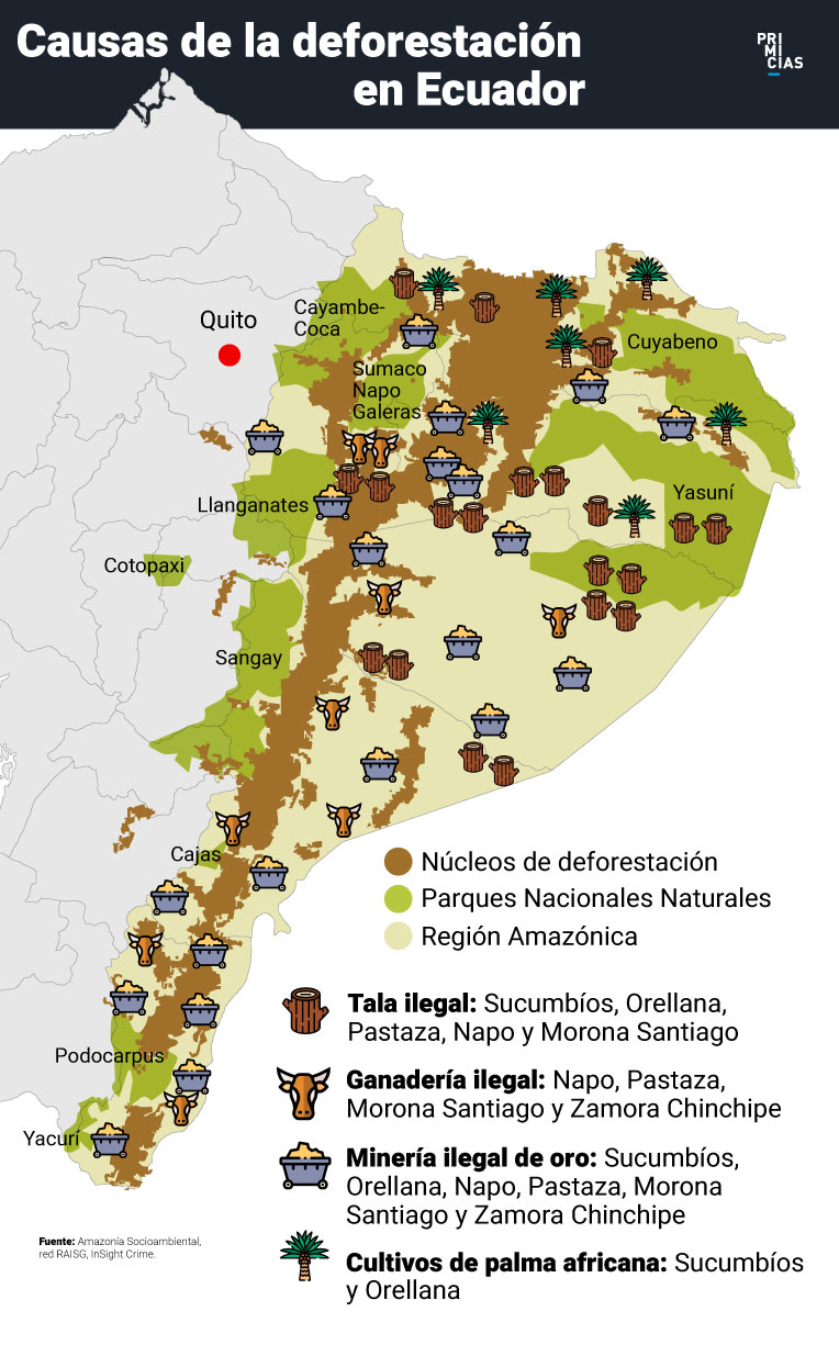 Principales delitos ambientales en la Amazonía 