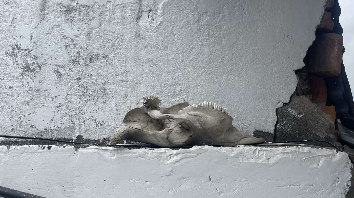 La casa estrecha de Quito tiene un cráneo de una vaca. 