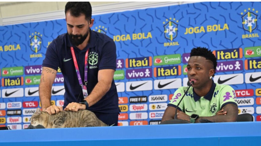 El jefe de prensa de Brasil lanza un gato en una conferencia con Vinicius Jr. 