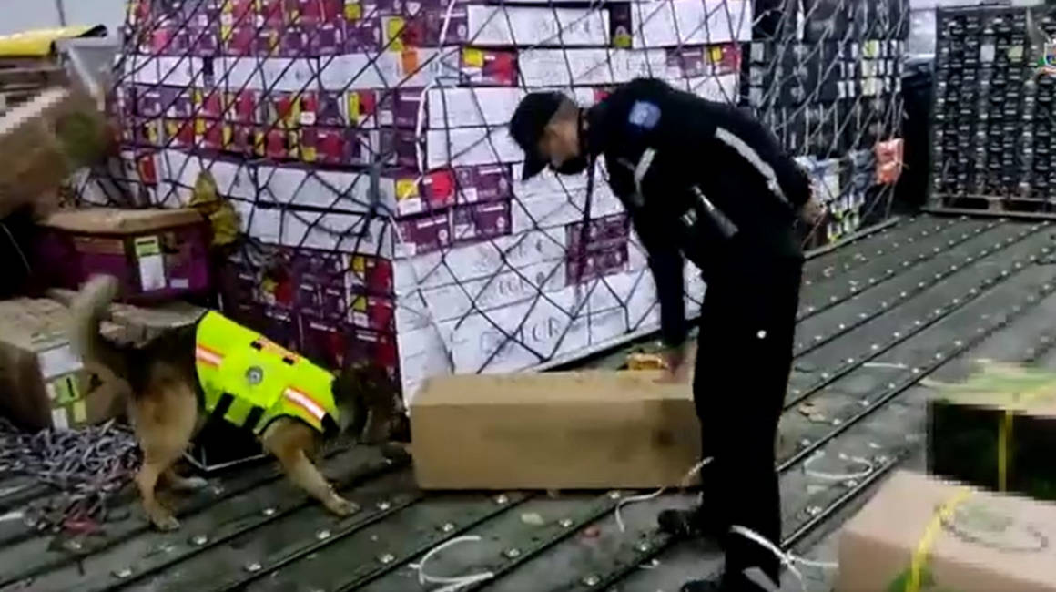 policia incautacion cocaina flores de exportaciones quito