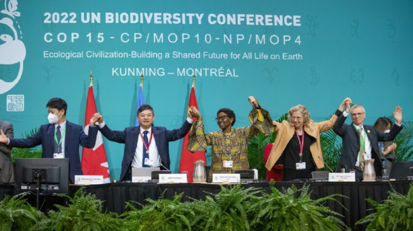 Los principales países firmantes del Pacto de Montreal, en la COP 15. 