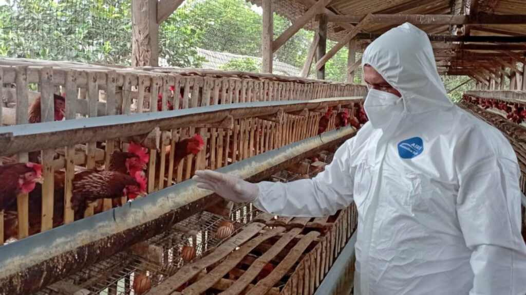 Ecuador mantiene controles para evitar la gripe aviar en Galápagos