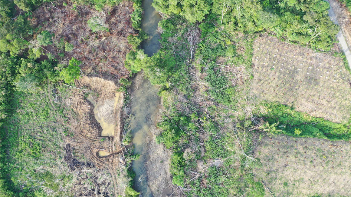 Deforestación en Napo, cerca a Yutzupino. Enero de 2023.