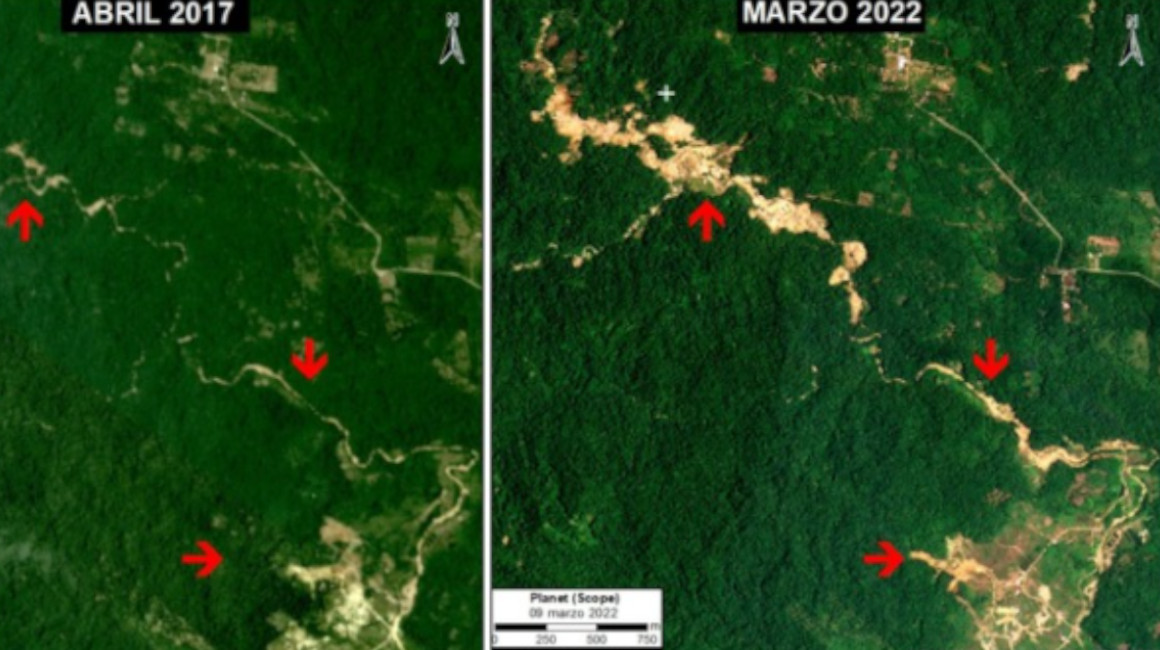 Deforestación en una zona del cantón Carlos Julio Arosemena Tola, en Napo, cerca a Yutzupino.