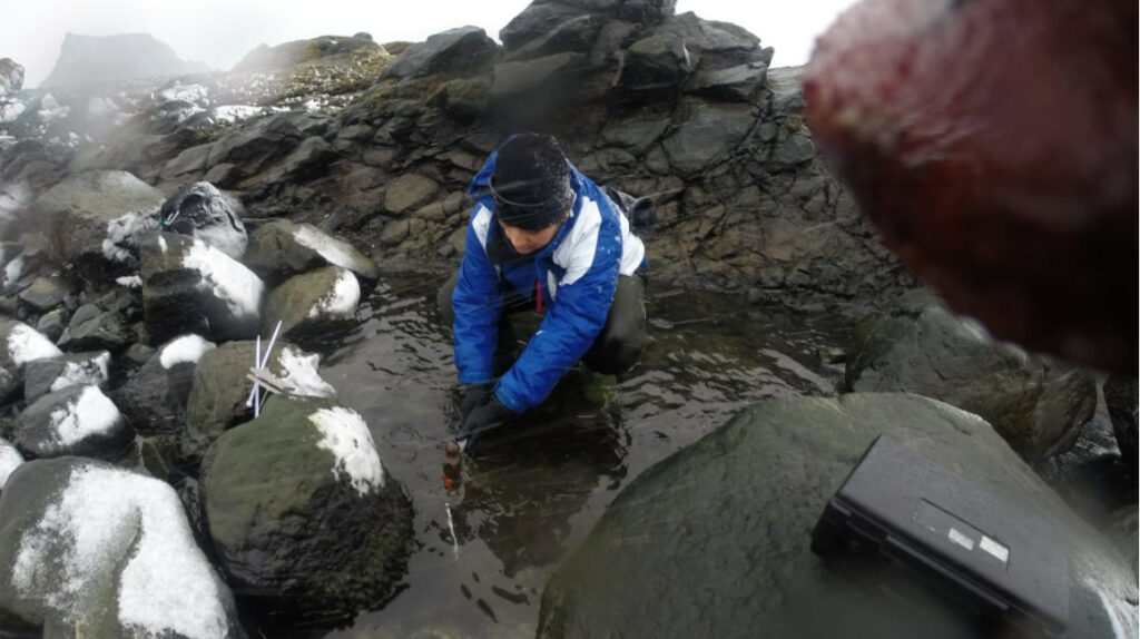 Alarma en la Antártida: hielo se desvanece y alcanza su mínimo histórico