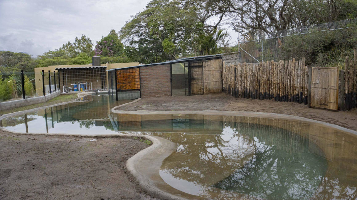 Hábitat para los dos cocodrilos de la Costa que ya forman parte de la población que se refugia en el QuitoZoo. 21 de marzo de 2023