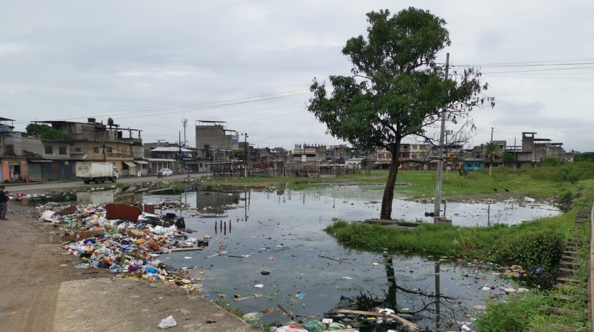 En la ciudadela El Recreo de Durán la acumulación de agua estancada, la mala disposición de basura, la proliferación de ratas y animales callejeros provoca 51 casos de leptospirosis.