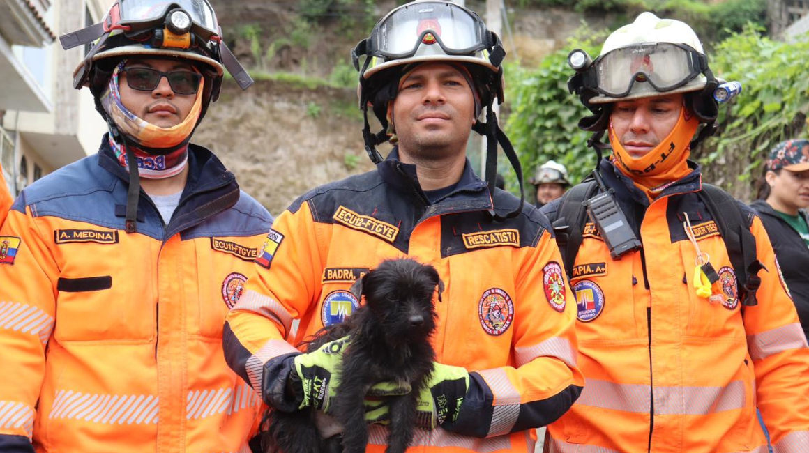 Bomberos rescatan a mascotas en la zona del desastre en Alausí, el 29 de 2023.