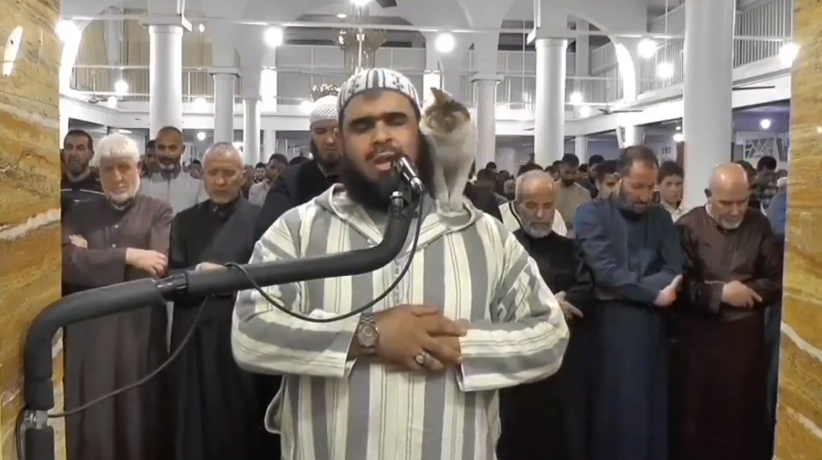 Walid Mahsas, el imán de Argelia cuyo video se hizo viral cuando un gato trepó hasta sus hombros en plena oración.