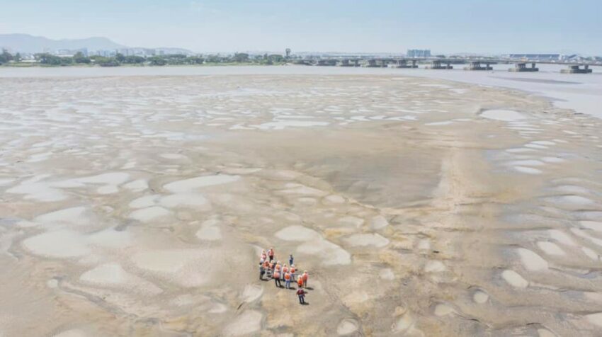 Una vista de la sedimentación a dragar en los alrededores del islote El Palmar, en el río Guayas, de donde se deberán extraer 6.5 millones de metros cúbicos de sedimentos.