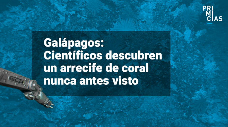 Arrecife de Galápagos tiene miles de años sin intervención humana