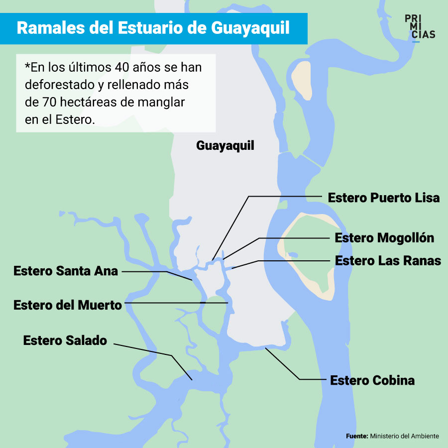 Importancia del Estero Salado en Guayaquil