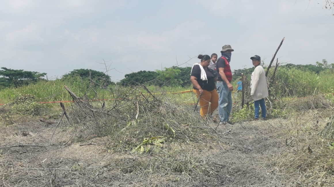 Personas talan árboles y desbrozan vegetación en una área protegida del Parque Samanes, al norte de Guayaquil. 