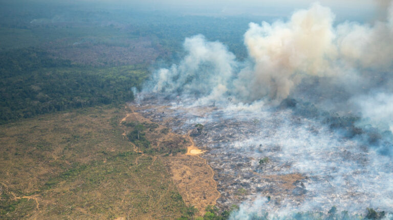 Ama, la plataforma para 'apagar' los incendios en la Amazonía