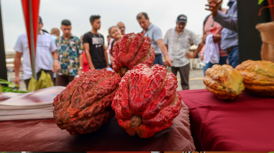 Feria de cacao Aromatic, en Ventana, el 3 de septiembre de 2022.