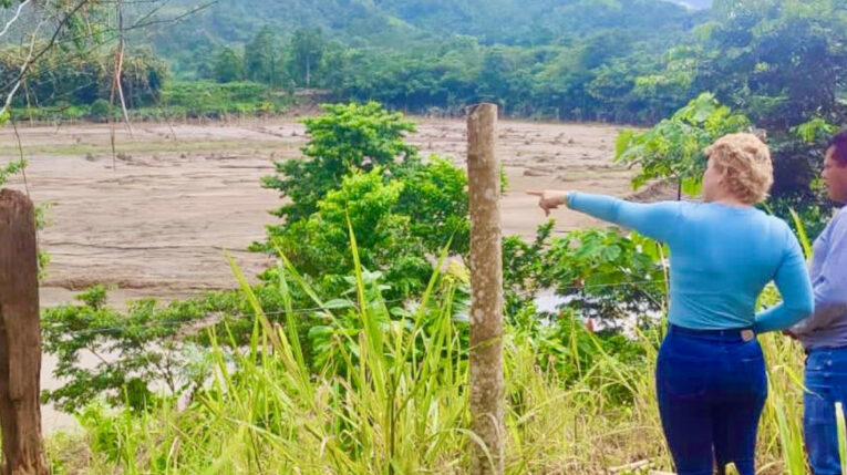 Técnicos del Ministerio de Agricultura y Ganadería evalúan los cultivos afectados por lluvias en Esmeraldas. Foto del 6 de junio de 2023.  
